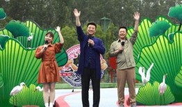 水星新闻爆料视频最新消息,揭秘神秘事件内幕