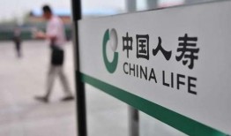 人寿保险最新爆料,揭秘保险理赔内幕与市场趋势